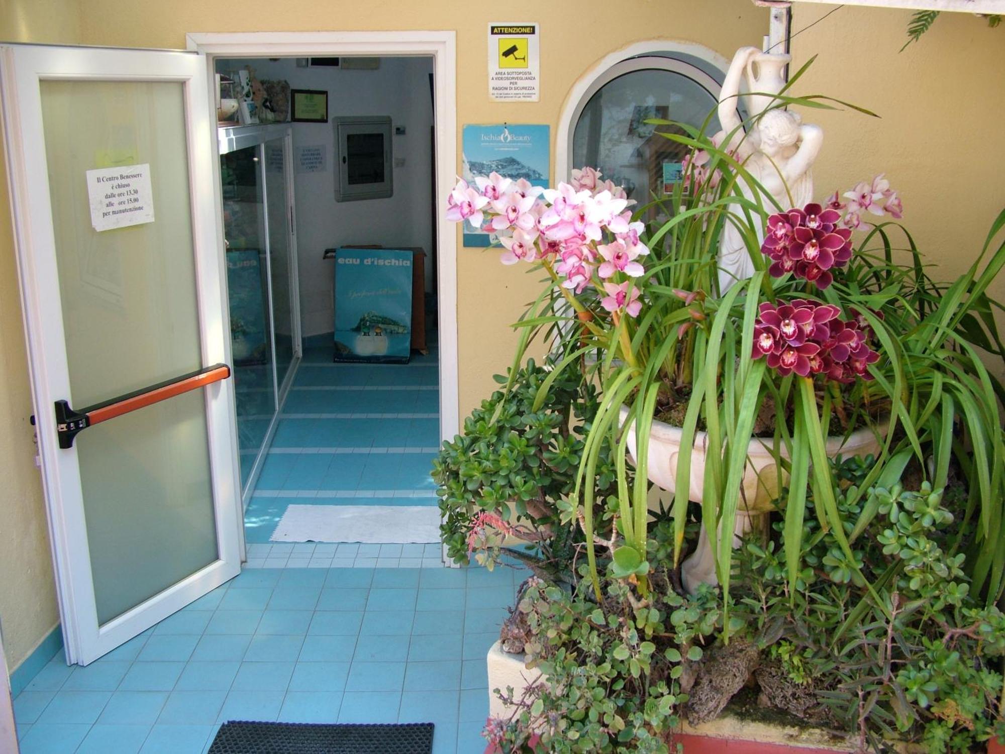 Hotel Giardino Delle Ninfe E La Fenice Ischia Exterior photo
